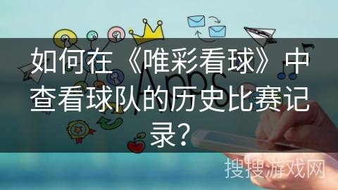 如何在《唯彩看球》中查看球队的历史比赛记录？