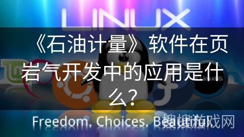 《石油计量》软件在页岩气开发中的应用是什么？