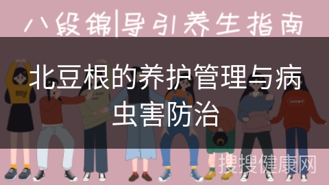 北豆根的养护管理与病虫害防治