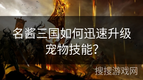 名酱三国如何迅速升级宠物技能? 名酱三国如何迅速升级宠物技能?