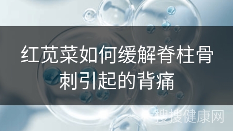 红苋菜如何缓解脊柱骨刺引起的背痛