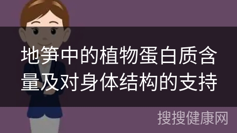 地笋中的植物蛋白质含量及对身体结构的支持