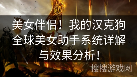 美女伴侣!我的汉克狗全球美女助手系统详解与效果分析! 美女伴侣!我的汉克狗全球美女助手系统详解与效果分析!