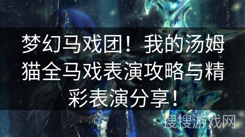 梦幻马戏团!我的汤姆猫全马戏表演攻略与精彩表演分享! 梦幻马戏团!我的汤姆猫全马戏表演攻略与精彩表演分享!