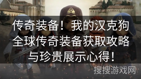 传奇装备！我的汉克狗全球传奇装备获取攻略与珍贵展示心得！