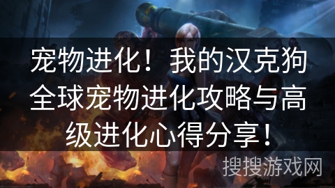 宠物进化!我的汉克狗全球宠物进化攻略与高级进化心得分享! 宠物进化!我的汉克狗全球宠物进化攻略与高级进化心得分享!