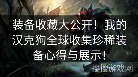 装备收藏大公开!我的汉克狗全球收集珍稀装备心得与展示! 装备收藏大公开!我的汉克狗全球收集珍稀装备心得与展示!