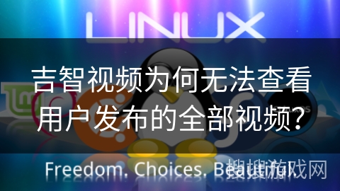 吉智视频为何无法查看用户发布的全部视频？