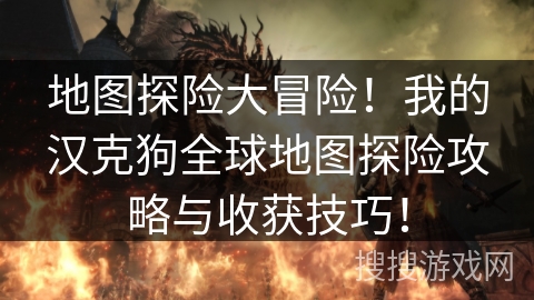 地图探险大冒险！我的汉克狗全球地图探险攻略与收获技巧！