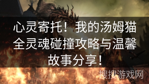 心灵寄托！我的汤姆猫全灵魂碰撞攻略与温馨故事分享！