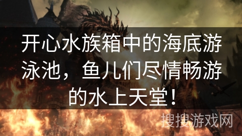 开心水族箱中的海底游泳池，鱼儿们尽情畅游的水上天堂！