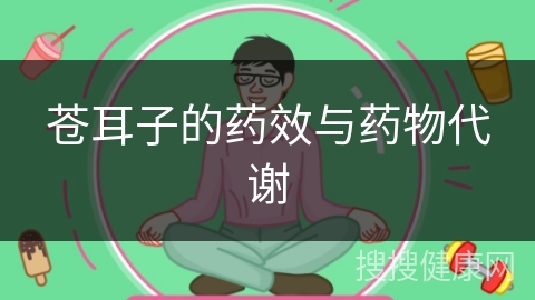 苍耳子的药效与药物代谢