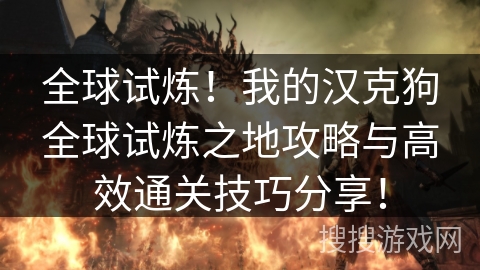 全球试炼！我的汉克狗全球试炼之地攻略与高效通关技巧分享！