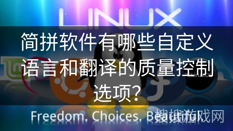 简拼软件有哪些自定义语言和翻译的质量控制选项？