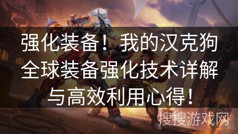 强化装备！我的汉克狗全球装备强化技术详解与高效利用心得！