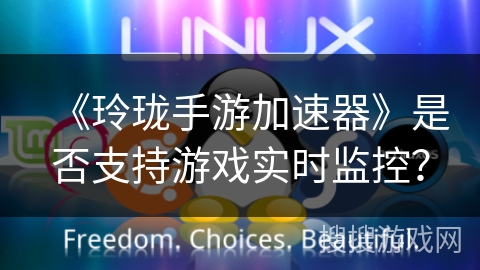 《玲珑手游加速器》是否支持游戏实时监控? 《玲珑手游加速器》是否支持游戏实时监控?