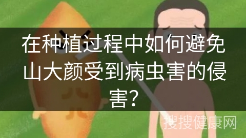 在种植过程中如何避免山大颜受到病虫害的侵害？