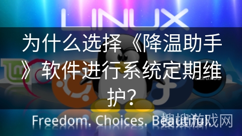 为什么选择《降温助手》软件进行系统定期维护? 为什么选择《降温助手》软件进行系统定期维护?