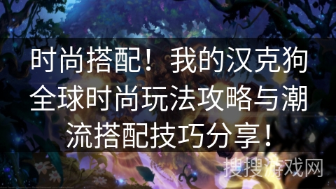 时尚搭配!我的汉克狗全球时尚玩法攻略与潮流搭配技巧分享! 时尚搭配!我的汉克狗全球时尚玩法攻略与潮流搭配技巧分享!