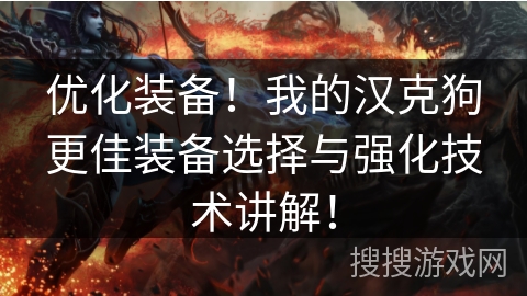 优化装备!我的汉克狗更佳装备选择与强化技术讲解! 优化装备!我的汉克狗更佳装备选择与强化技术讲解!