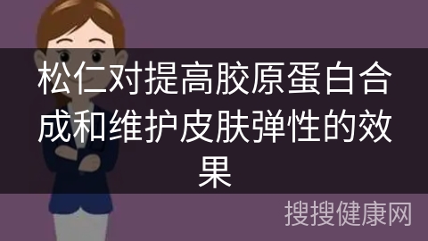 松仁对提高胶原蛋白合成和维护皮肤弹性的效果