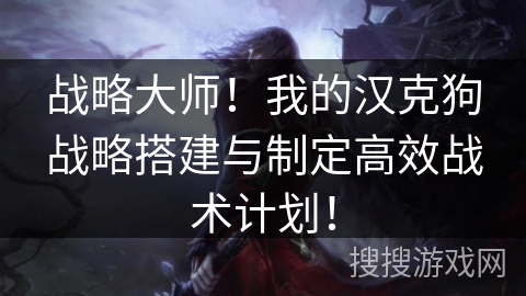 战略大师！我的汉克狗战略搭建与制定高效战术计划！