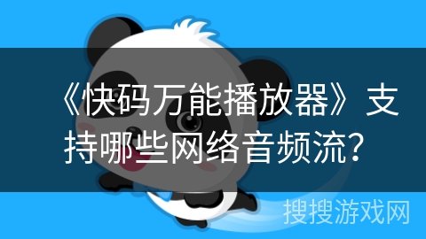 《快码万能播放器》支持哪些网络音频流？