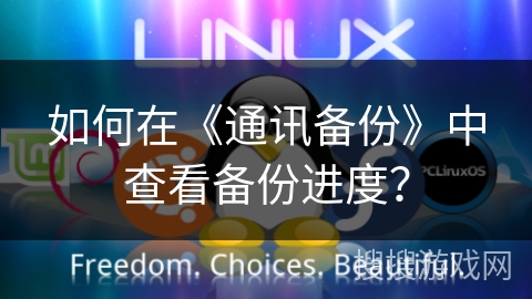 如何在《通讯备份》中查看备份进度? 如何在《通讯备份》中查看备份进度?