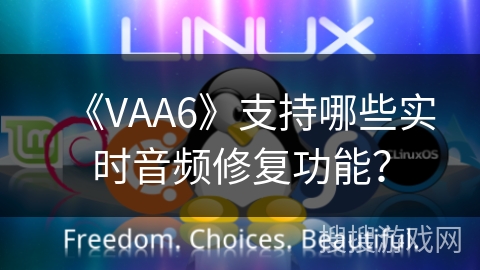 《VAA6》支持哪些实时音频修复功能? 《VAA6》支持哪些实时音频修复功能?