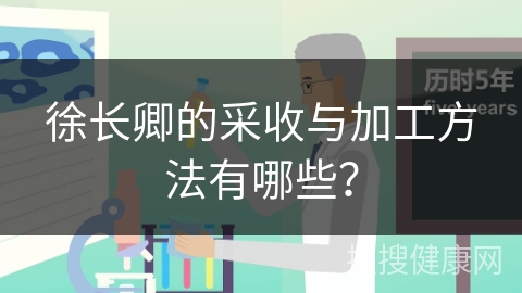 徐长卿的采收与加工方法有哪些？