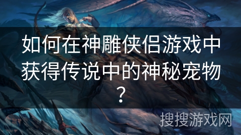 如何在神雕侠侣游戏中获得传说中的神秘宠物？
