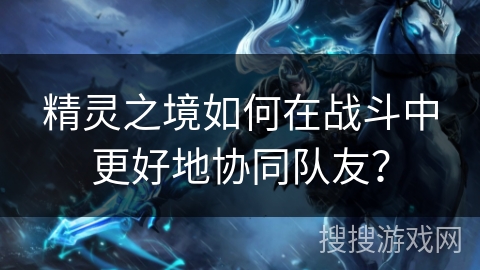 精灵之境如何在战斗中更好地协同队友？
