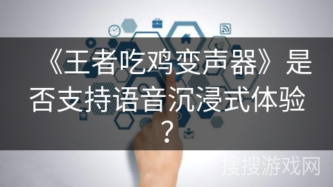《王者吃鸡变声器》是否支持语音沉浸式体验？