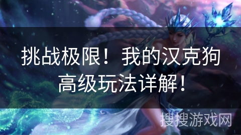 挑战极限!我的汉克狗高级玩法详解! 挑战极限!我的汉克狗高级玩法详解!