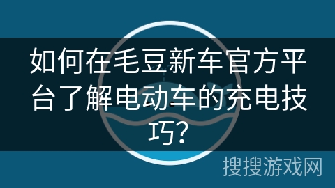 如何在毛豆新车官方平台了解电动车的充电技巧? 如何在毛豆新车官方平台了解电动车的充电技巧?