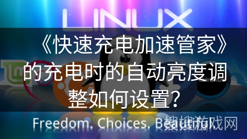 《快速充电加速管家》的充电时的自动亮度调整如何设置? 《快速充电加速管家》的充电时的自动亮度调整如何设置?