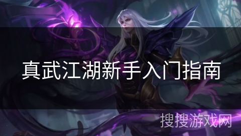 真武江湖新手入门指南