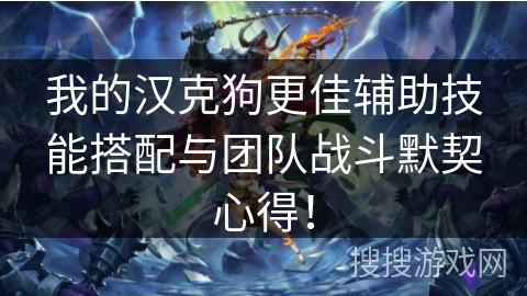 我的汉克狗更佳辅助技能搭配与团队战斗默契心得！