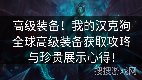 高级装备!我的汉克狗全球高级装备获取攻略与珍贵展示心得! 高级装备!我的汉克狗全球高级装备获取攻略与珍贵展示心得!