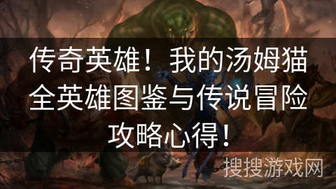 传奇英雄！我的汤姆猫全英雄图鉴与传说冒险攻略心得！