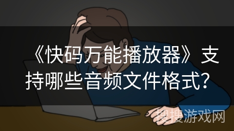 《快码万能播放器》支持哪些音频文件格式？