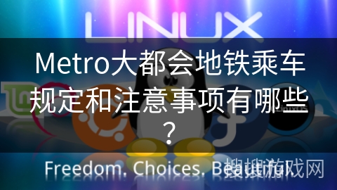 Metro大都会地铁乘车规定和注意事项有哪些？