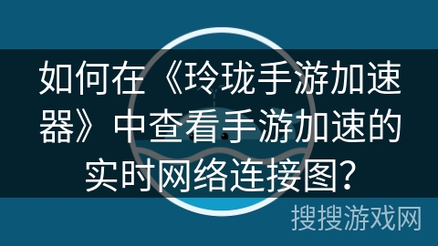 如何在《玲珑手游加速器》中查看手游加速的实时网络连接图？