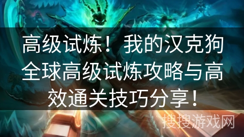 高级试炼！我的汉克狗全球高级试炼攻略与高效通关技巧分享！
