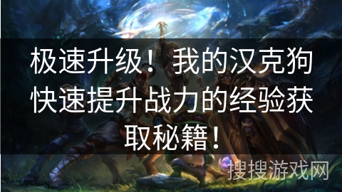 极速升级！我的汉克狗快速提升战力的经验获取秘籍！