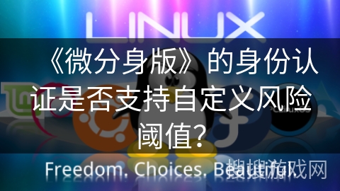 《微分身版》的身份认证是否支持自定义风险阈值？