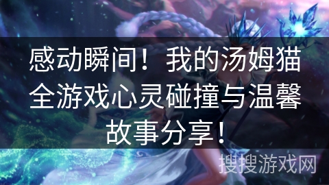 感动瞬间！我的汤姆猫全游戏心灵碰撞与温馨故事分享！