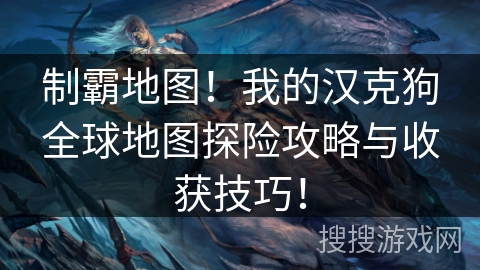 制霸地图！我的汉克狗全球地图探险攻略与收获技巧！