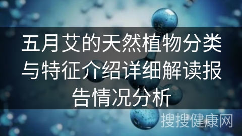 五月艾的天然植物分类与特征介绍详细解读报告情况分析