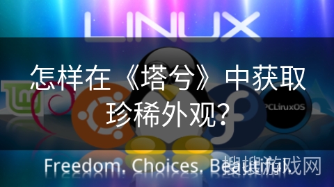 怎样在《塔兮》中获取珍稀外观? 怎样在《塔兮》中获取珍稀外观?